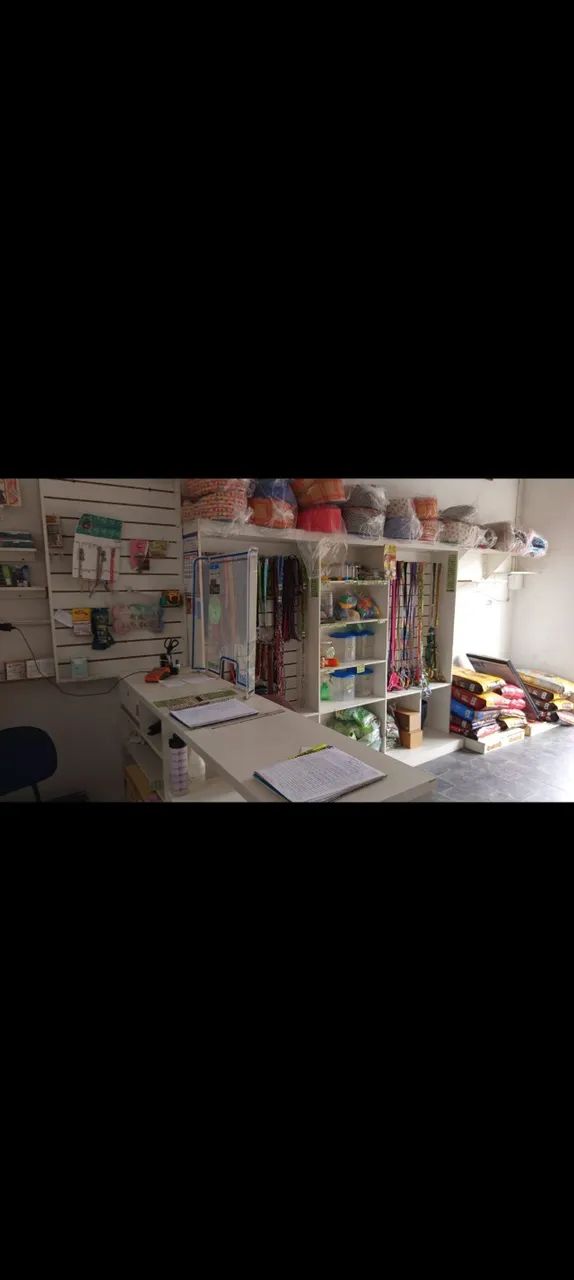 PETSHOP COM BANHO E TOSA EM BETIM - Foto 3