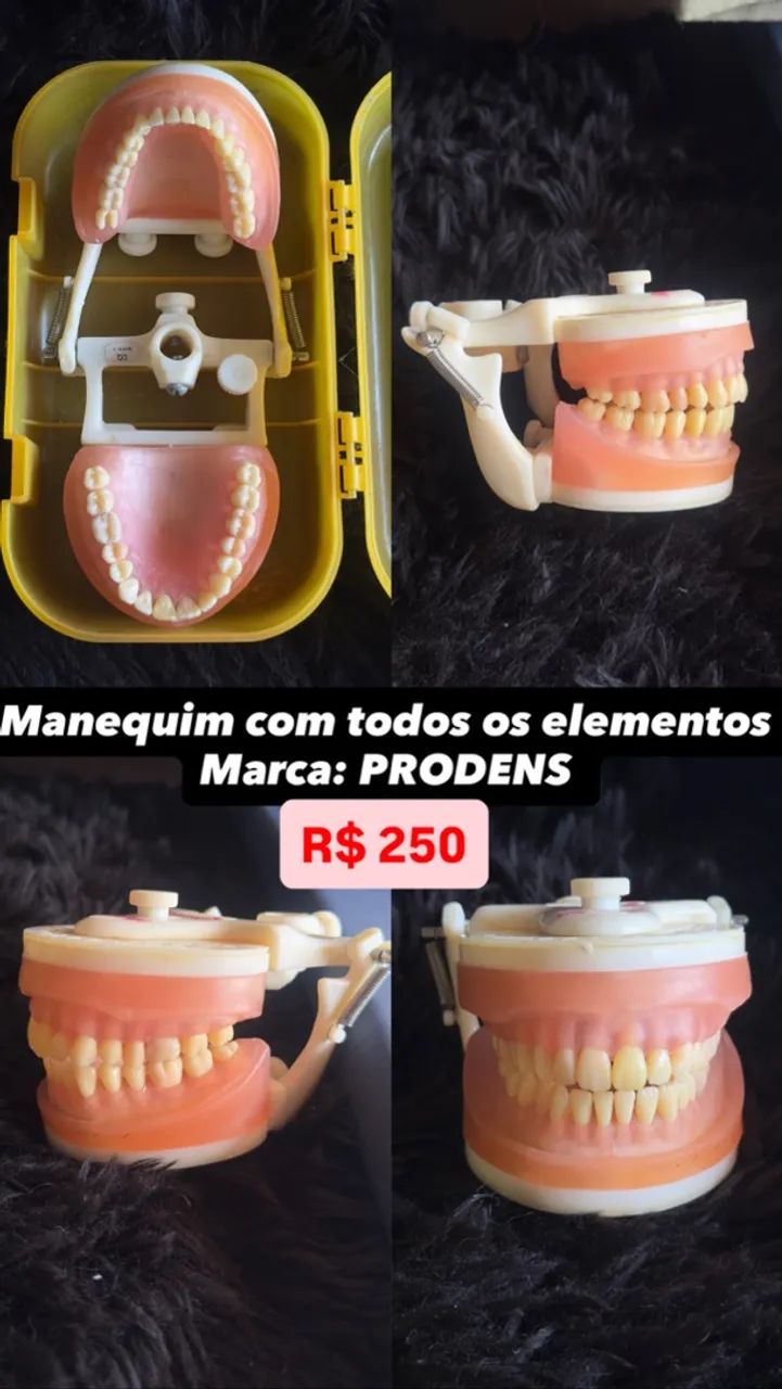 Manequim PRODENS - Foto 2