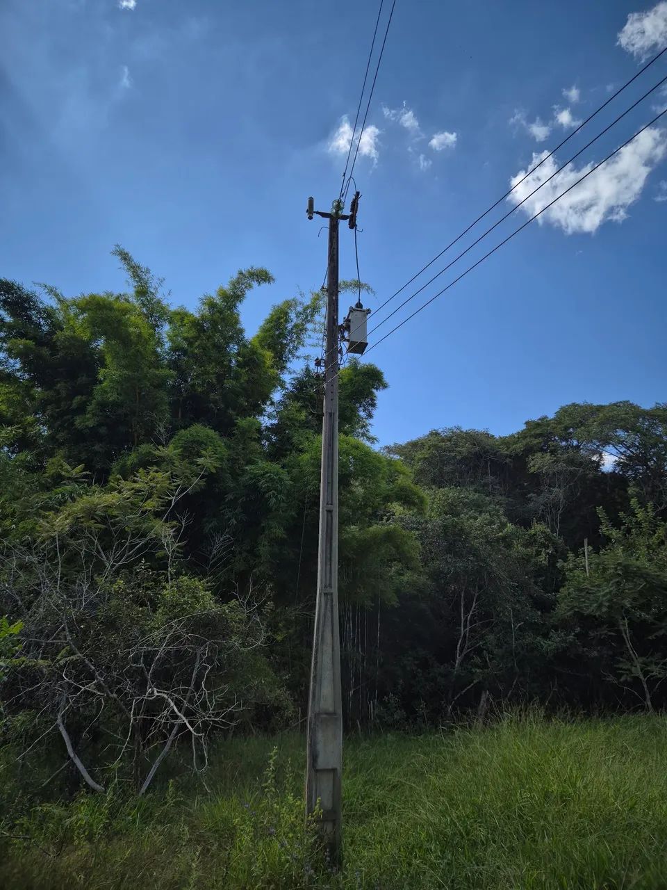 Caetanopolis, Mini-fazenda - Foto 4