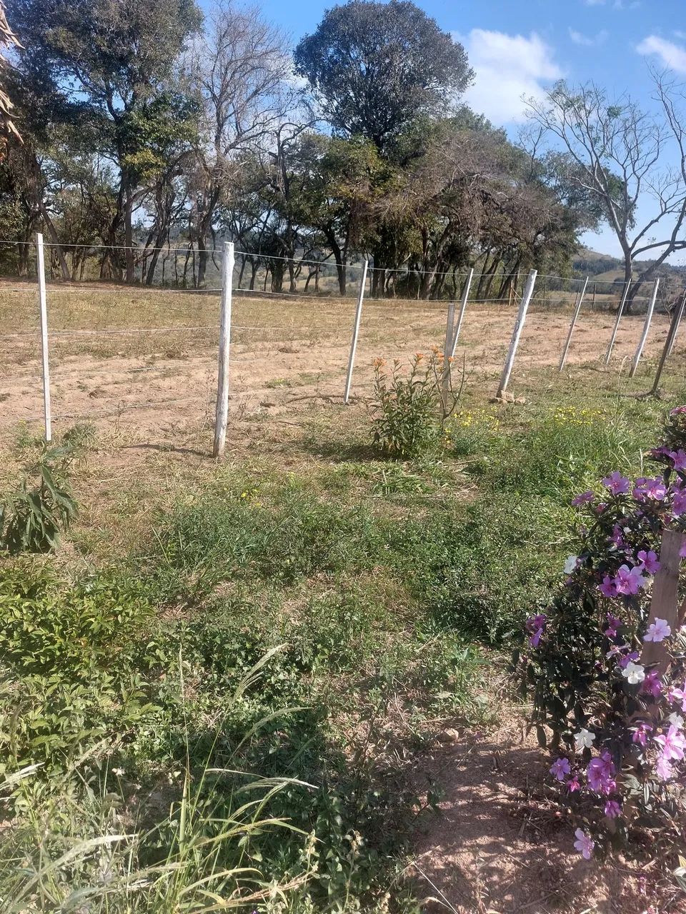 Sitio - Foto 2