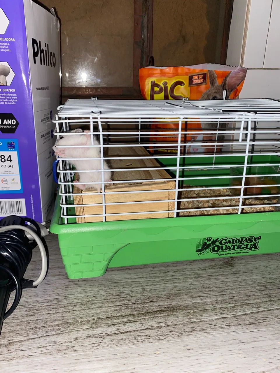 Animais  - Foto 4