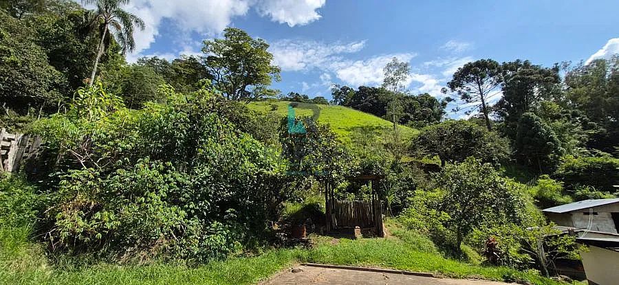 SÍTIO FORMADO À VENDA EM ITAJUBÁ-MG - Foto 4