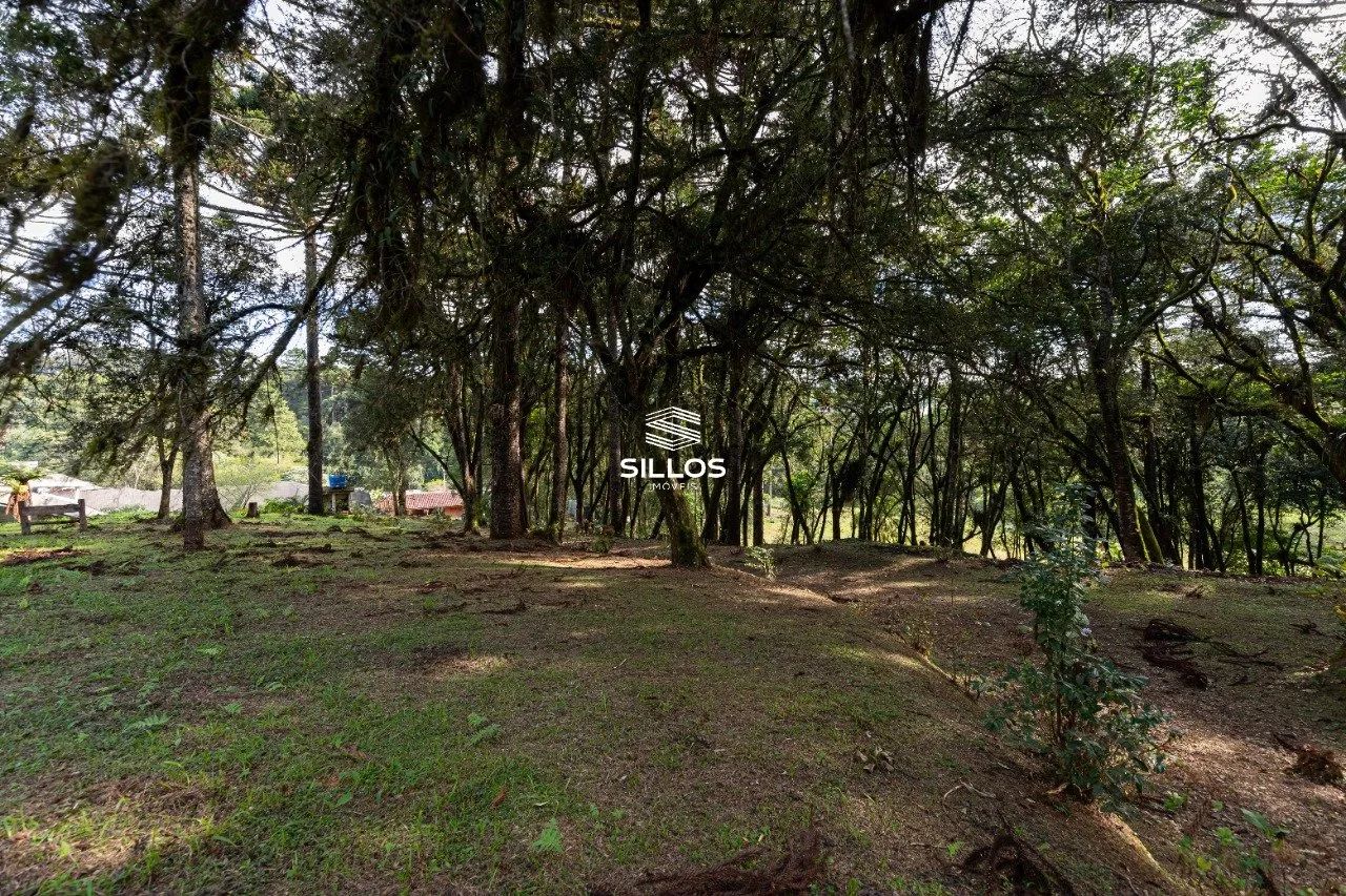 Chácara à venda com 80.000m² em Butiatuvinha em Curitiba - Foto 10