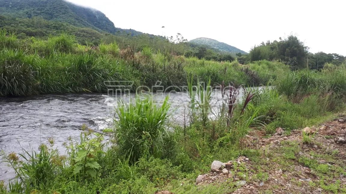 LINDO TERRENO PARA CHACARA PROXIMO AO RIO - Foto 5