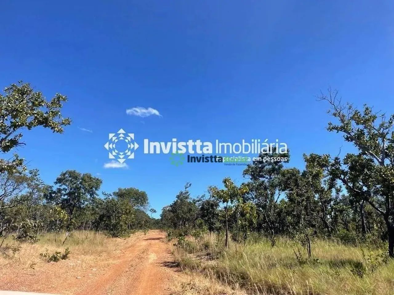 Fazenda com 900 alqueires para lavoura em Almas - Foto 8