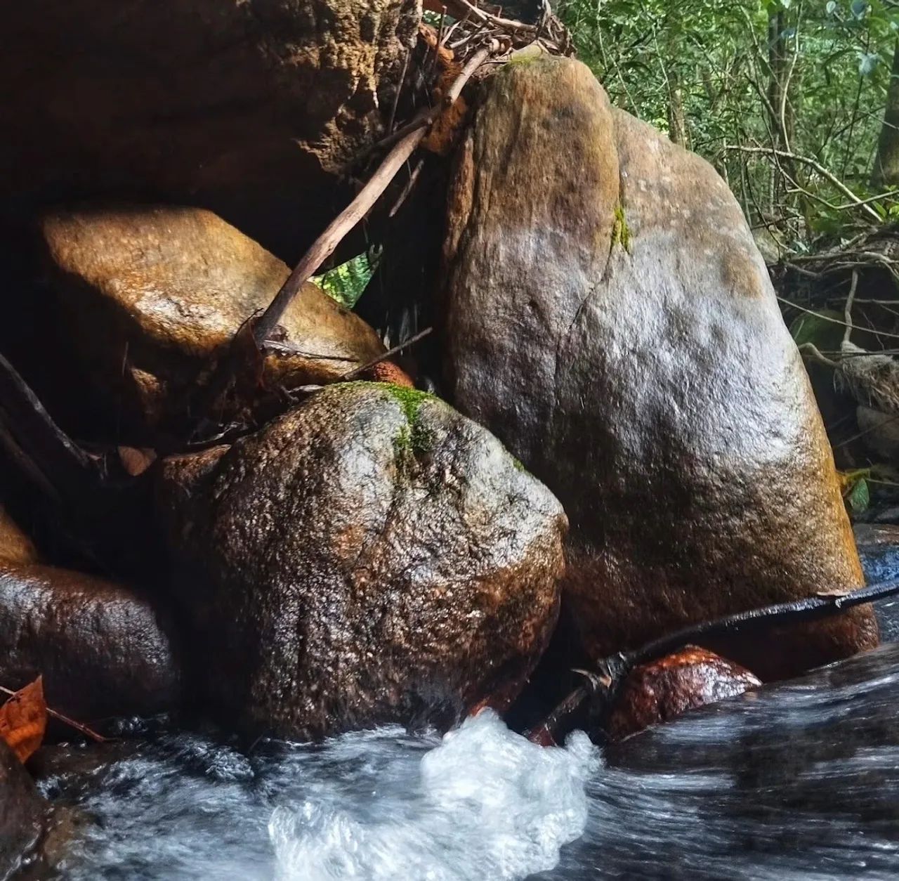 Chácara em roda d? água,  Cariacica      - Foto 3