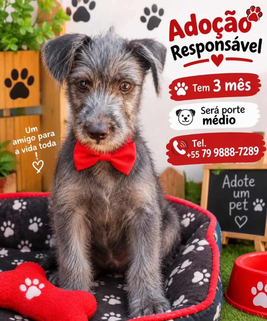 Adoção responsável 