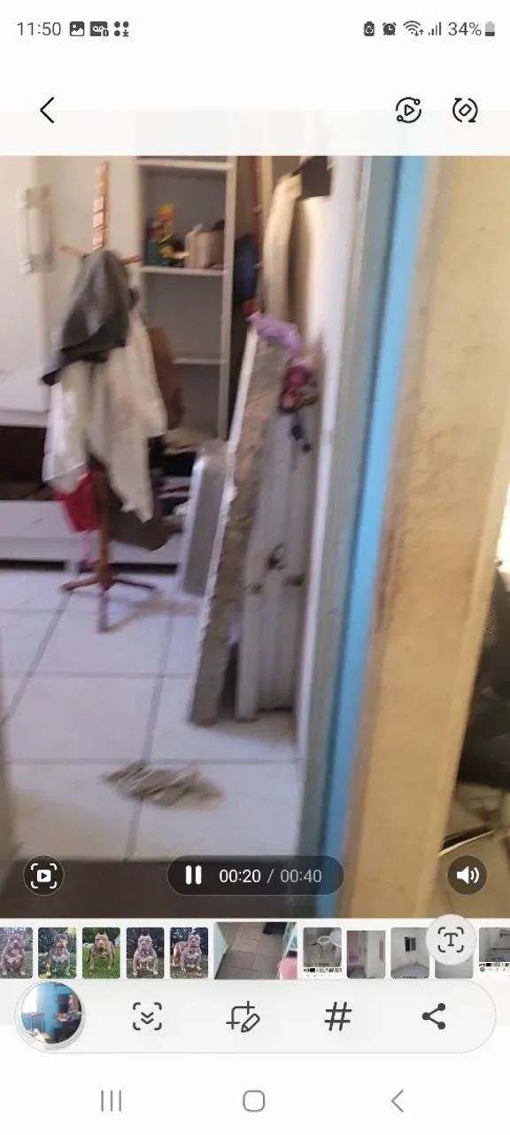 vende-se apartamento terceiro andar no curado 4 - Foto 5