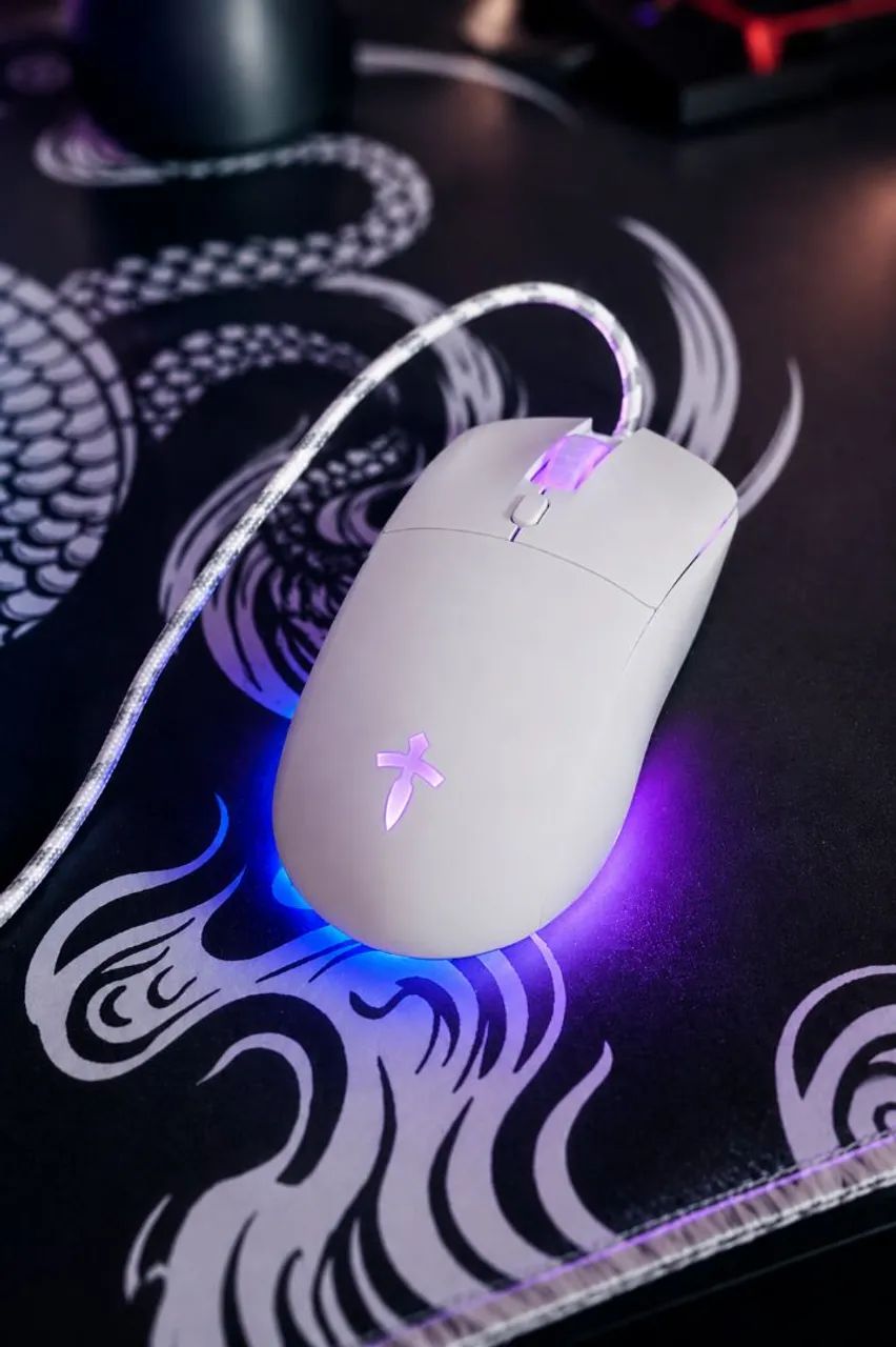 Mouse gamer