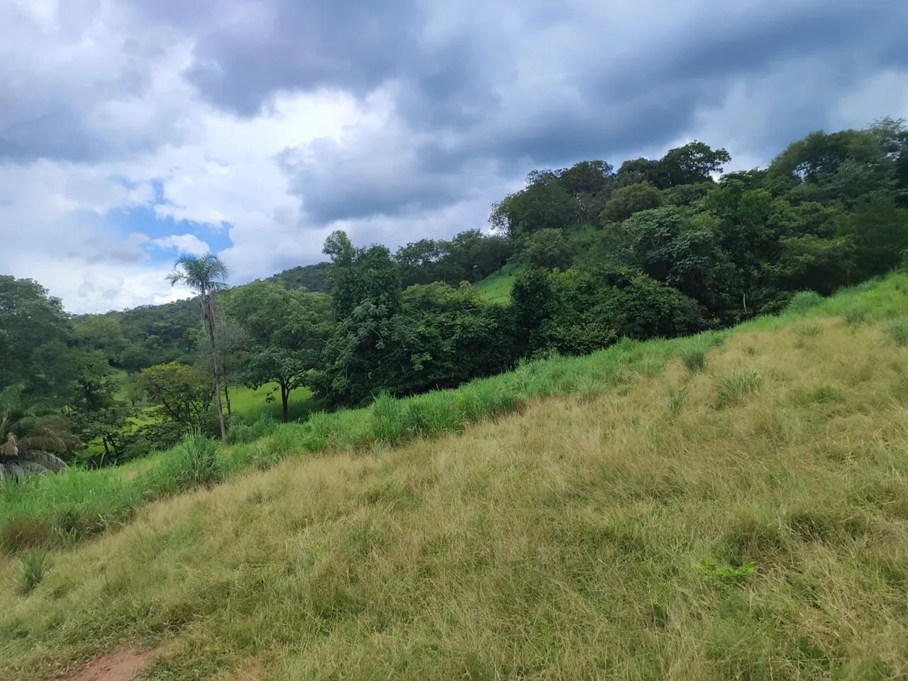 Fazenda Serra da Pimenta - Foto 4