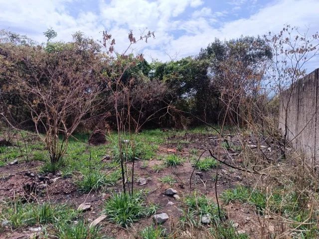 Lote 312m² no Jardim Candidés - Foto 5