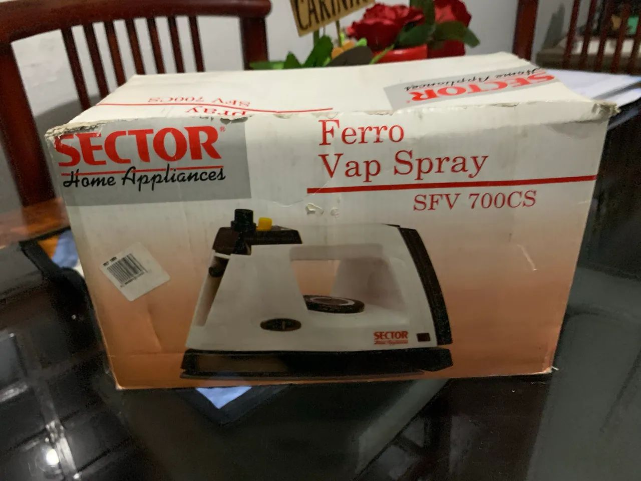 Ferro a vapor 