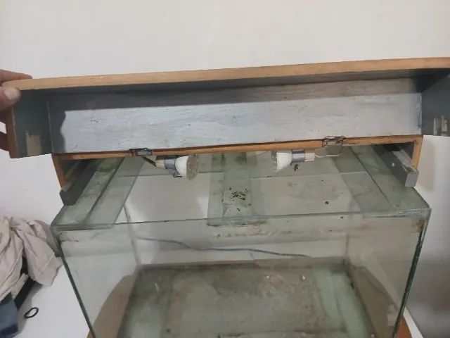 Acquario médio