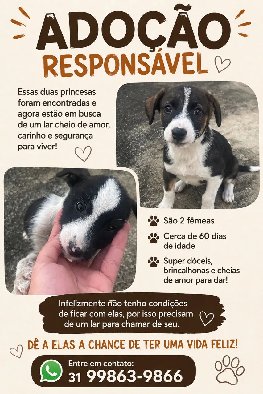 Adoção 