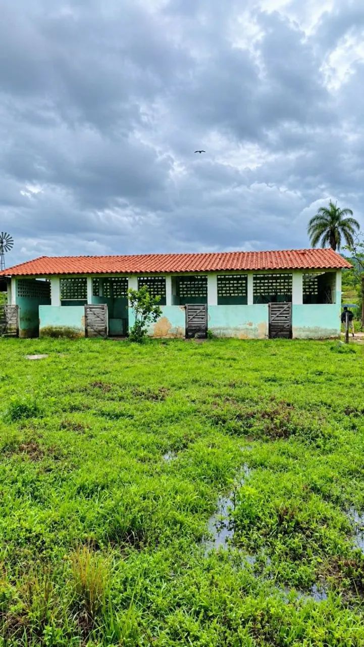 Vendo sítio  - Foto 5
