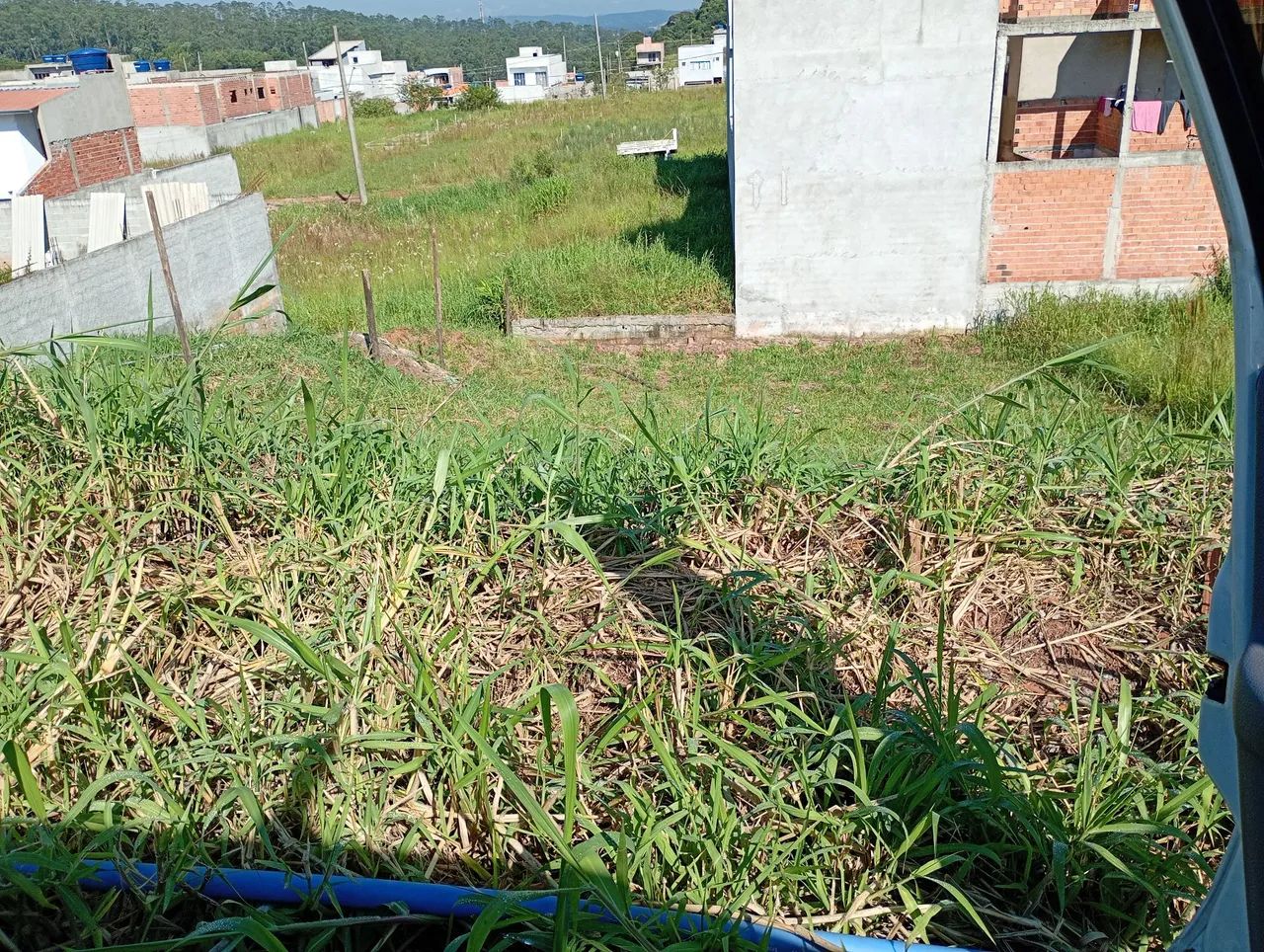 Foto - São Paulo - Jardim Noronha