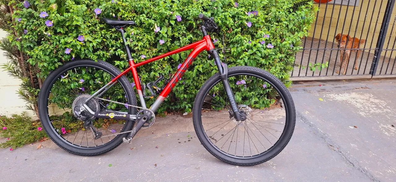 Bicicleta Rava  - Foto 3
