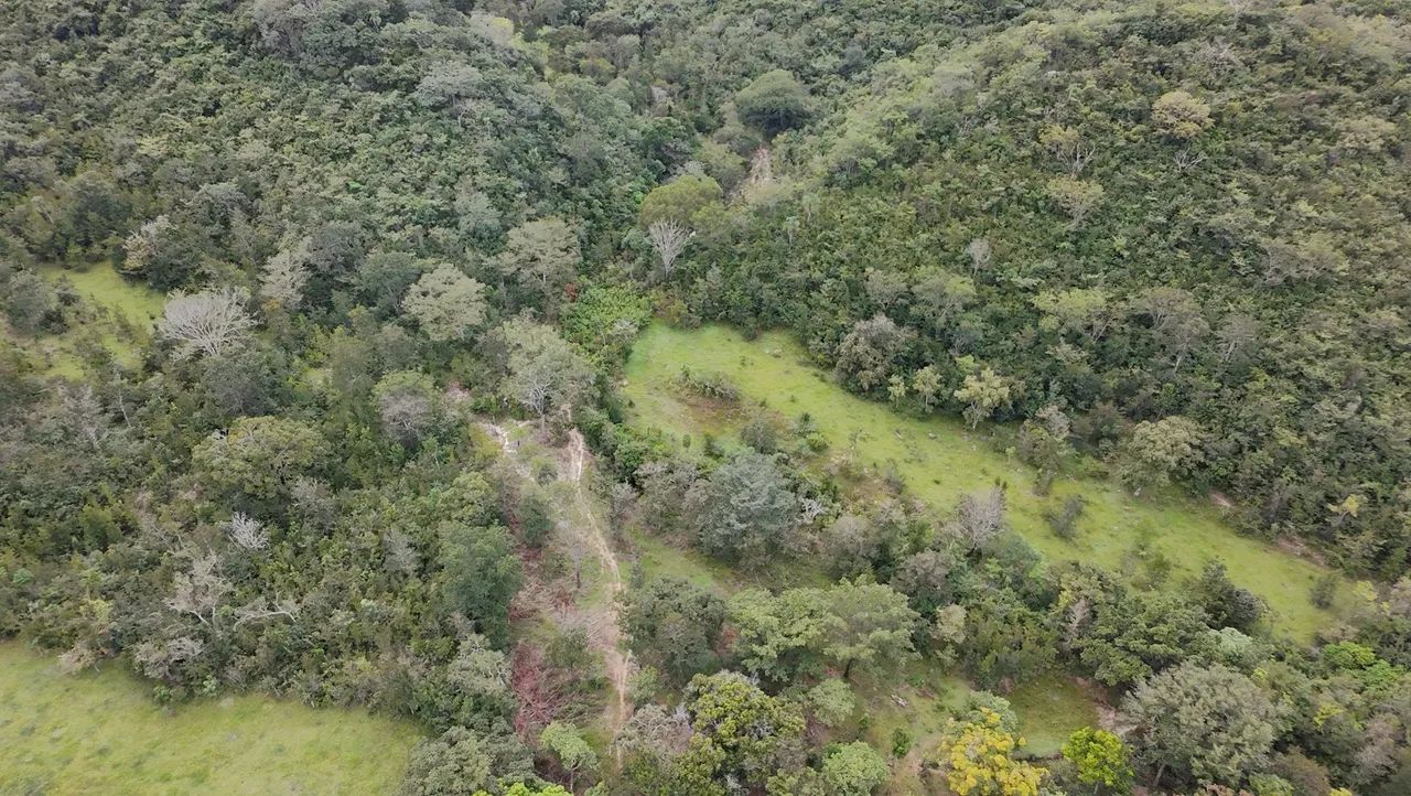 Fazenda de 30 alqueires e 61 litros 