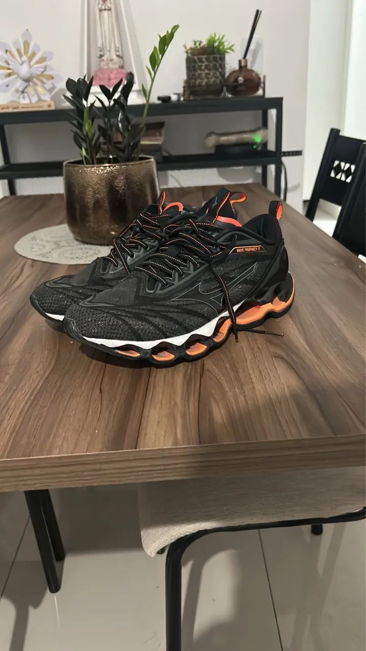 Mizuno prophecy 11