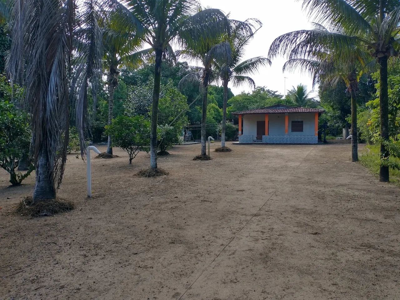 Sítio Santo Amaro Km25 - Foto 5
