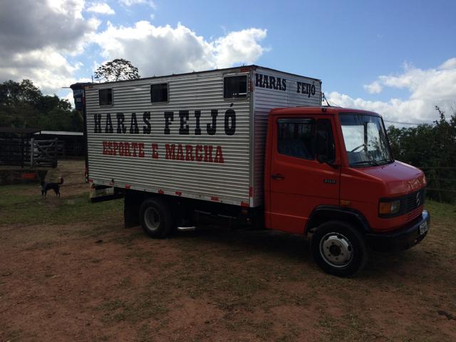 Cavalos transporte especializado - Foto 3
