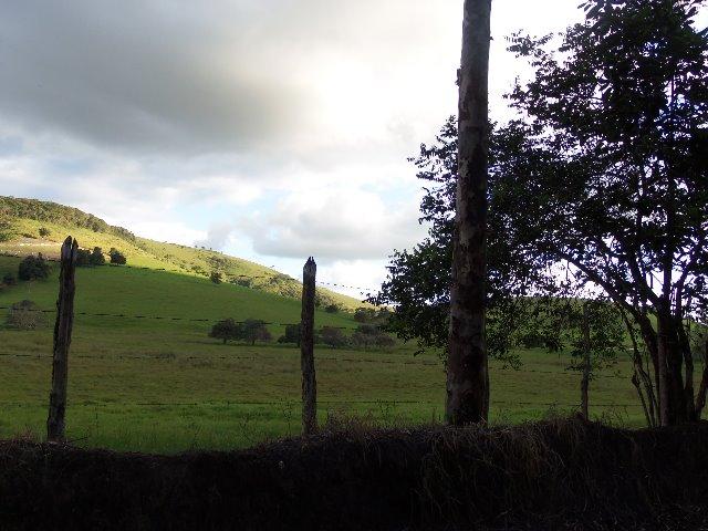 Fazenda com 700 Hectares em Barra de Guabiraba (Cód.: f20568)