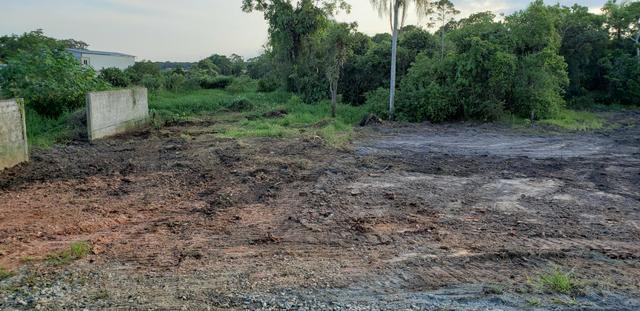 Terreno 10.650m2 em Araquari - Foto 3