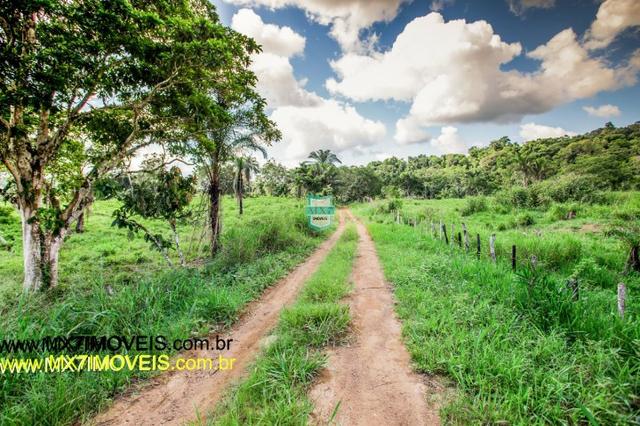 Fazenda com o melhor custo beneficio de 400 Hectares. 3 Rios