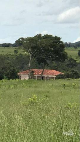 Fazenda à venda, 12640000 m² por R$ 12.500.000,00 - Zona Rural - Bom Jardim de Goiás/GO - Foto 2