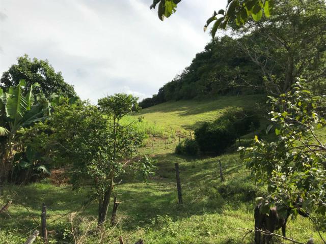 Área Rural - Foto 13