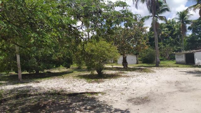 Vende-se excelente sitio em Igarassu, bem localizado - Foto 13