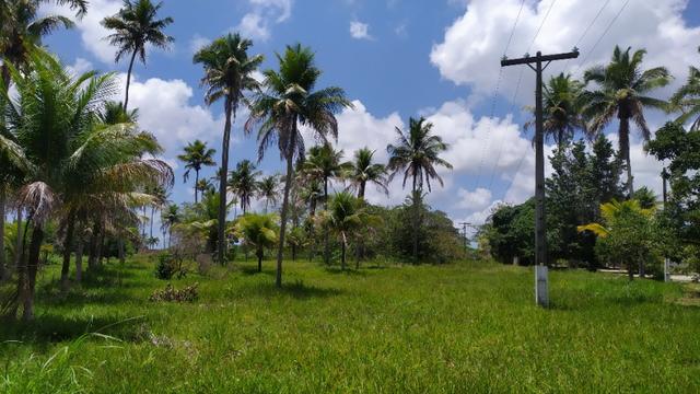 Vende-se excelente sitio em Igarassu, bem localizado