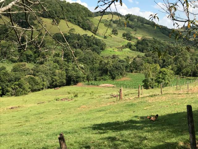 Área Rural - Foto 14