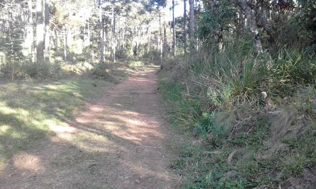 Fazenda - Foto 3