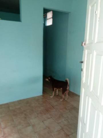 Casa no Térreo de 1 Quarto em Amaralina - Foto 3