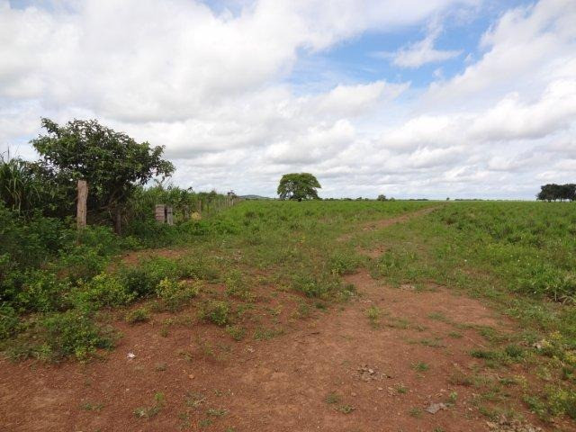 Fazenda em Araguaçu - TO - 73.954 hectares