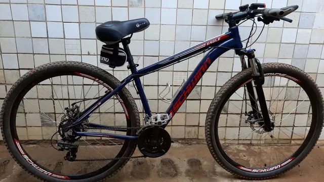 schwinn eagle a20