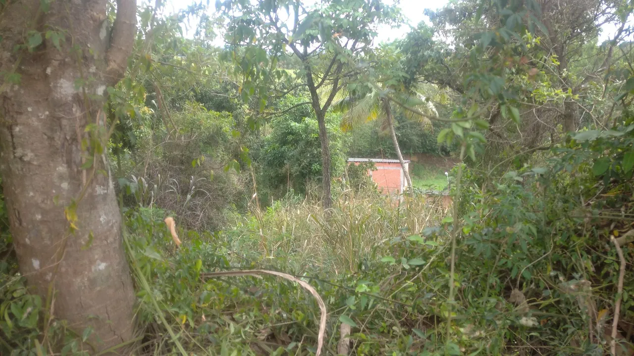 VENDO TERRENO DE 600 M² EM COQUEIRAL DE VIANA
