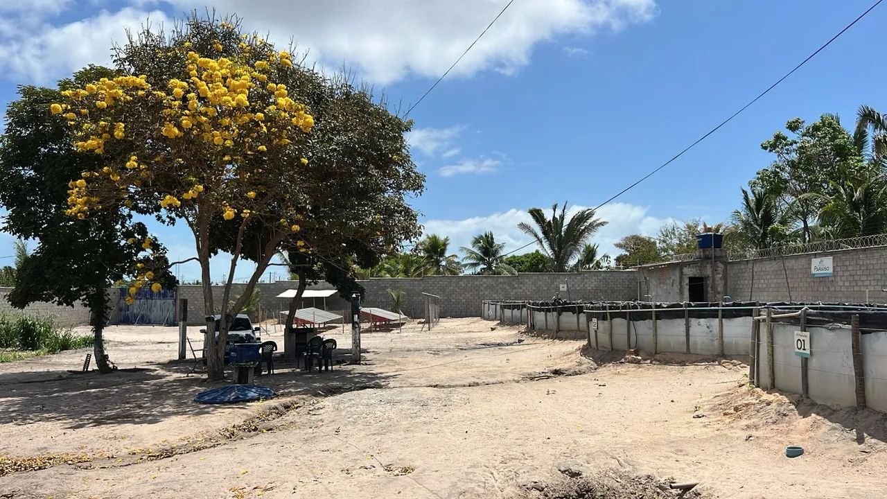 Sítio de 2700m² na raposa 