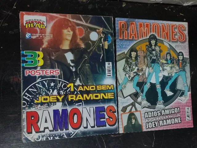 Lote Ramones - Foto 4