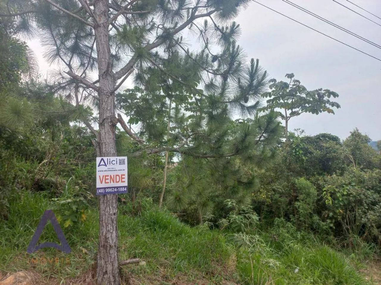 Terreno à venda, 444 m² por R$ 500.000,00 - Ribeirão da Ilha - Florianópolis/SC - Foto 4