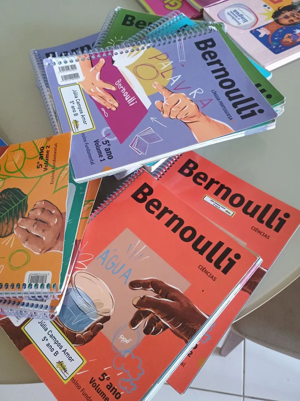 Bernoulli 5 ano 2025 - Foto 3