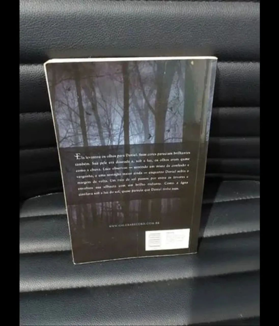 Livro: Fallen - Lauren Kate  - Foto 2