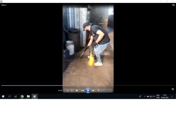 Dedetização de baratas, ratos, formigas, escorpiões - Foto 3
