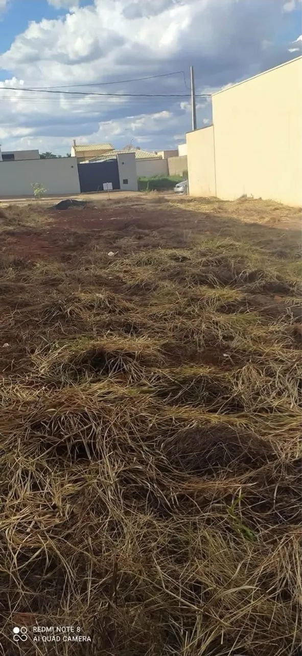 Terreno em Luiz Antônio  - Foto 4