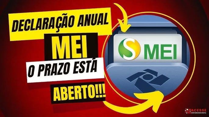 DECLARAÇÃO DO MEI 