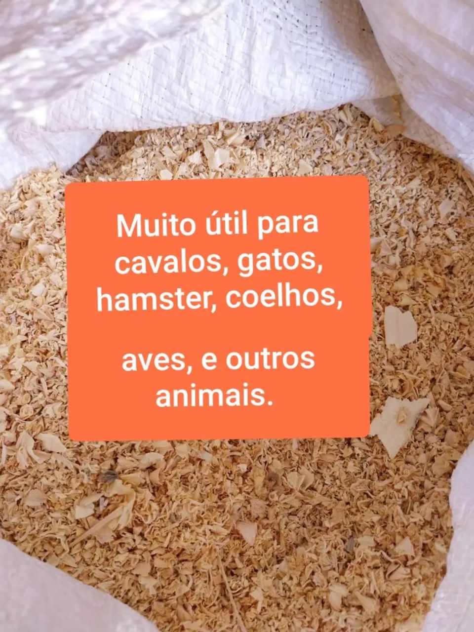 Madeira e serragem - Foto 5