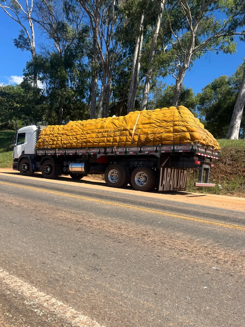 Scania p-310 bitruk aut. extra motor zero