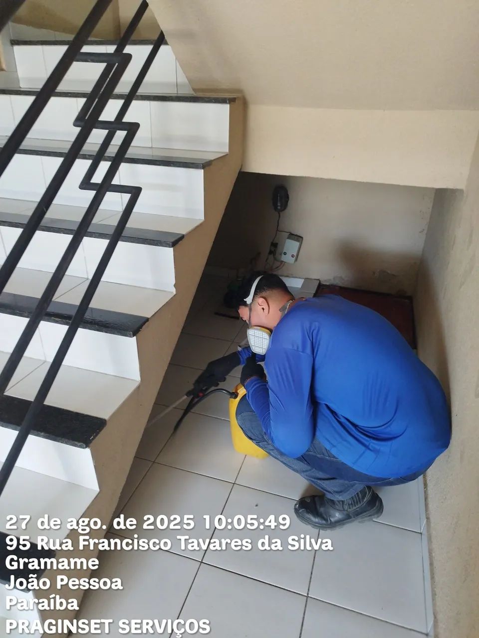 CONTROLE DE PRAGAS (SERVIÇO DE DEDETIZAÇÃO) - Foto 3