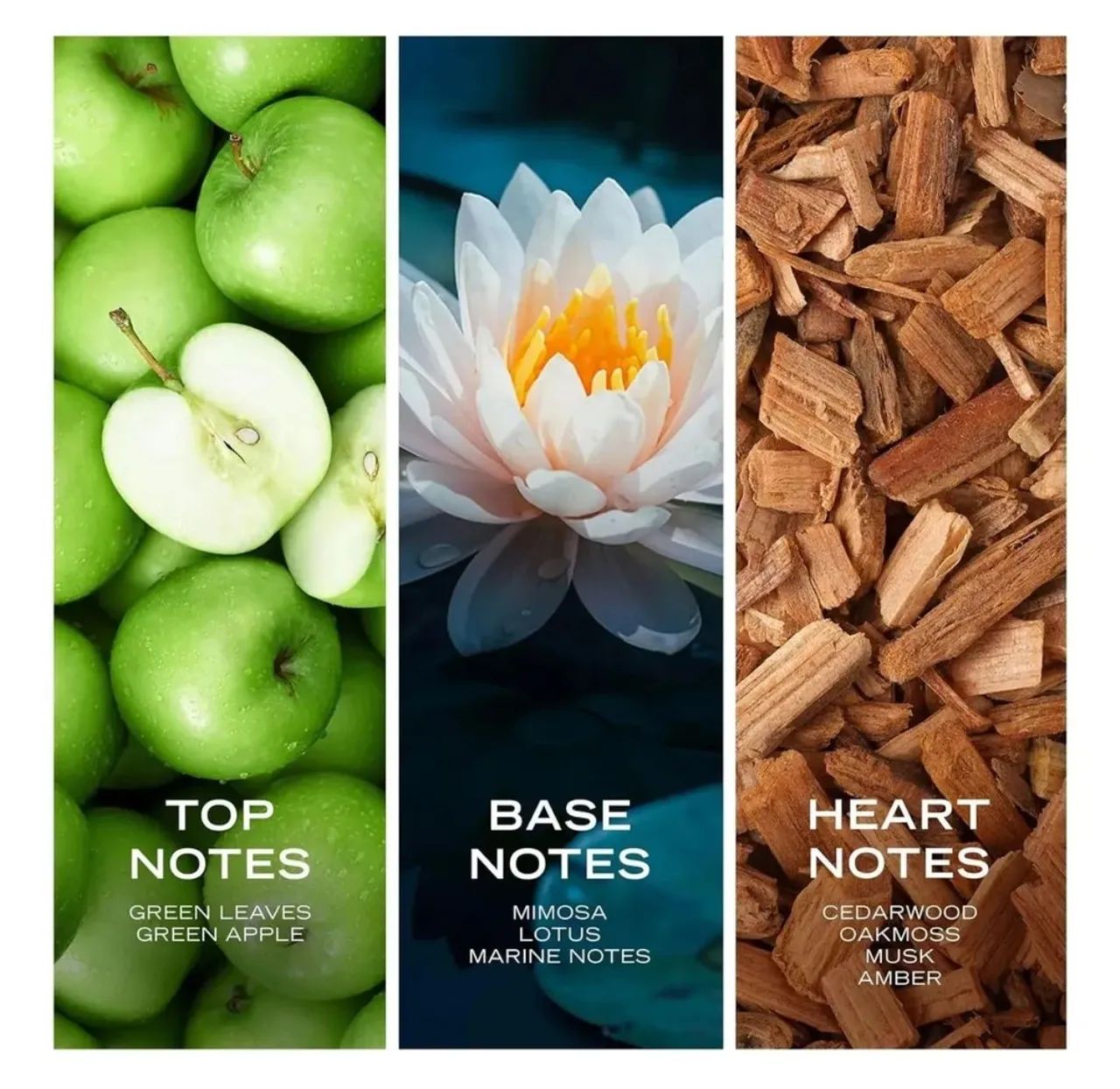 Perfume Nautica Voyage  - Foto 2